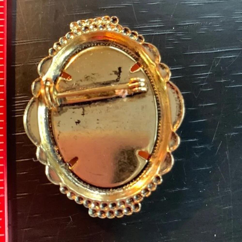 Vintage Cameo Pin off white on brown/orange background